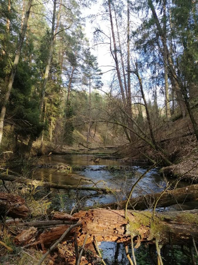 Wodamoja - Apartamenty Nad Jeziorem Stawiguda Esterno foto