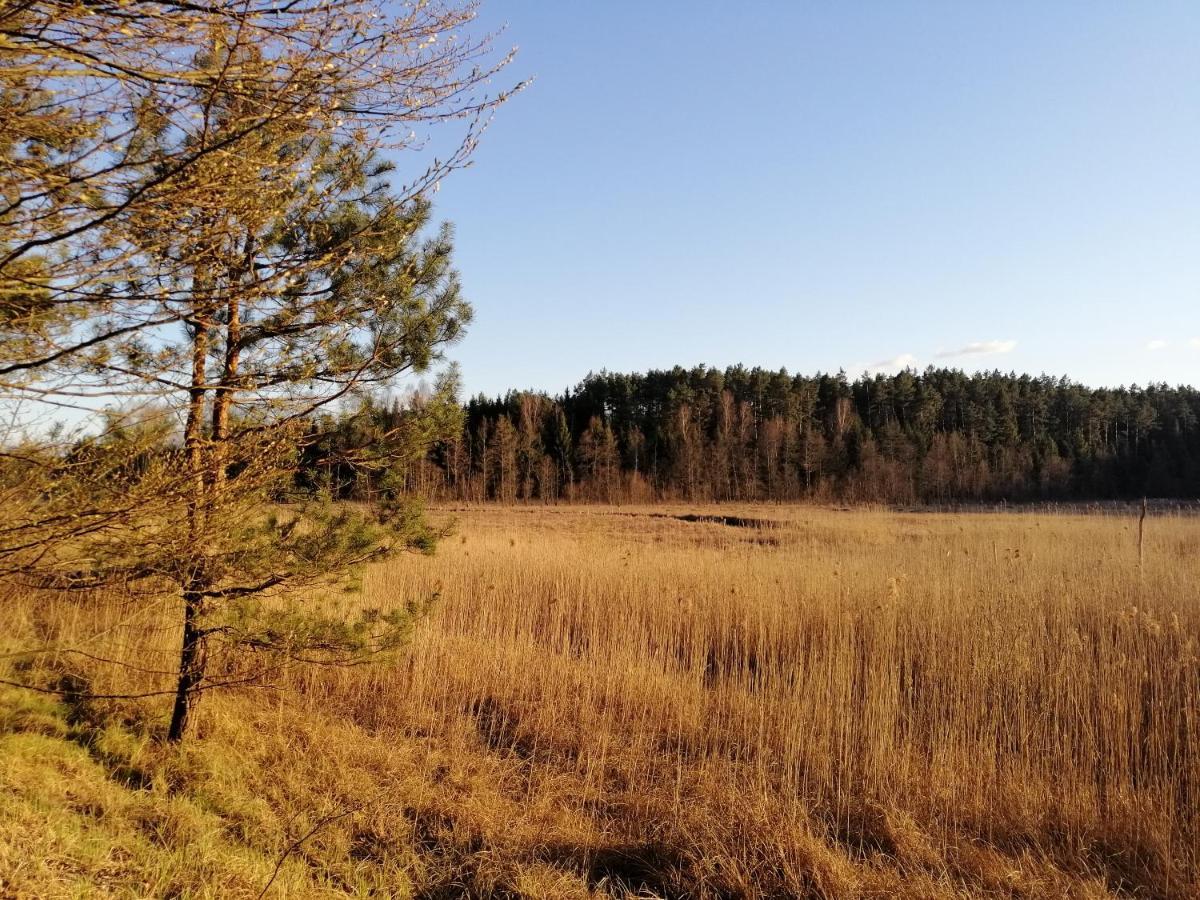 Wodamoja - Apartamenty Nad Jeziorem Stawiguda Esterno foto
