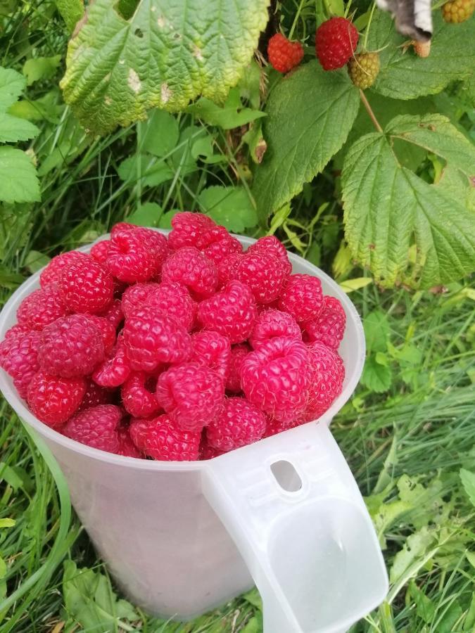 Wodamoja - Apartamenty Nad Jeziorem Stawiguda Esterno foto