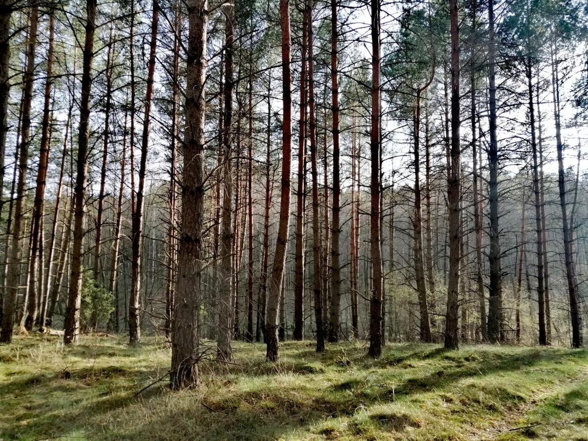 Wodamoja - Apartamenty Nad Jeziorem Stawiguda Esterno foto