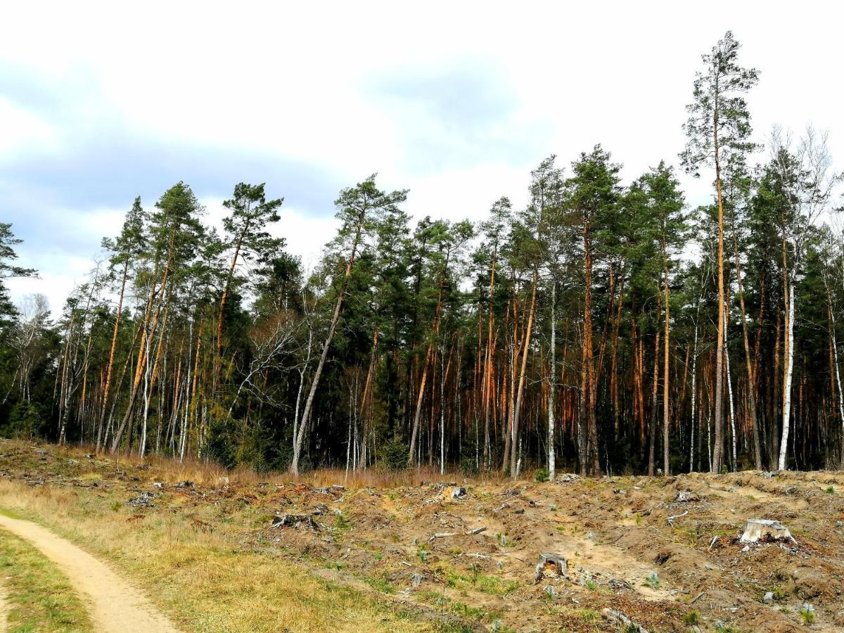 Wodamoja - Apartamenty Nad Jeziorem Stawiguda Esterno foto