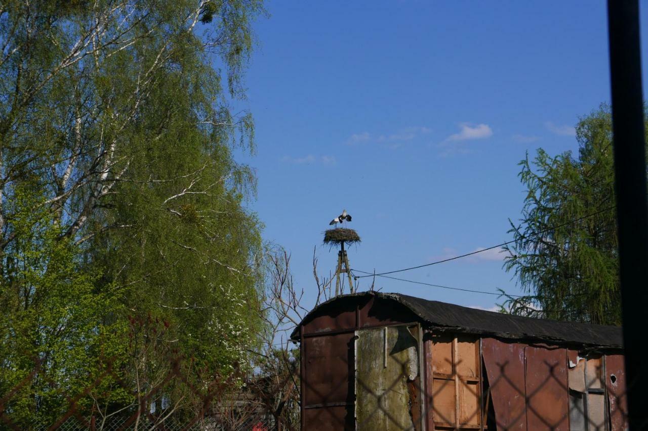 Wodamoja - Apartamenty Nad Jeziorem Stawiguda Esterno foto