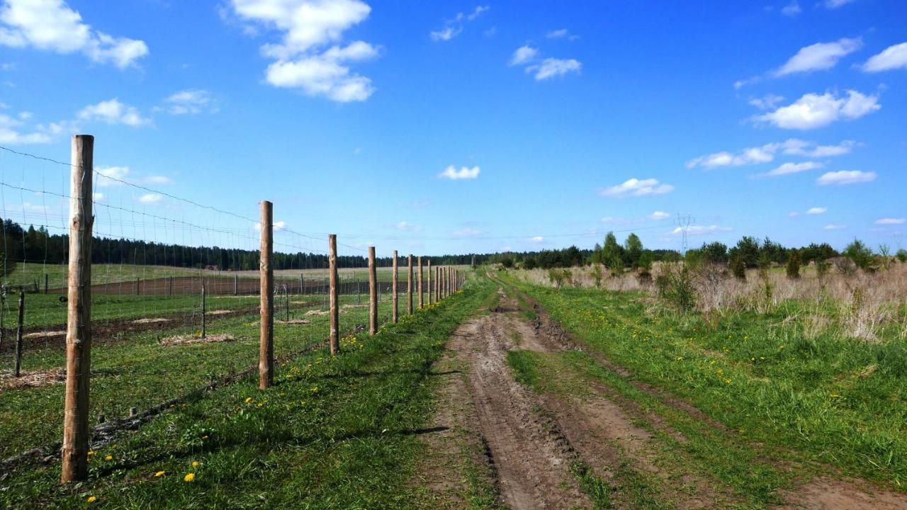 Wodamoja - Apartamenty Nad Jeziorem Stawiguda Esterno foto